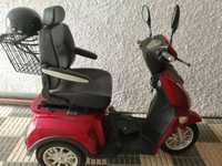 Goose R3N Scooter Mobilidade