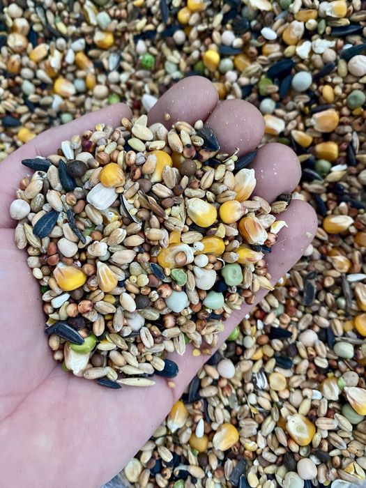 Karma dla gołębi pocztowych standard 25 kg Hurtownia Pasz ŚWIĘTE