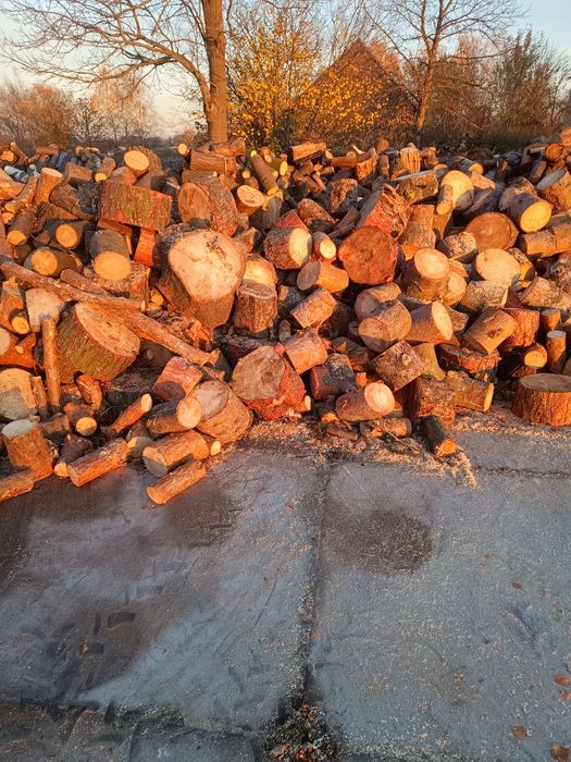 Drewno opałowe sosna modrzew akacja