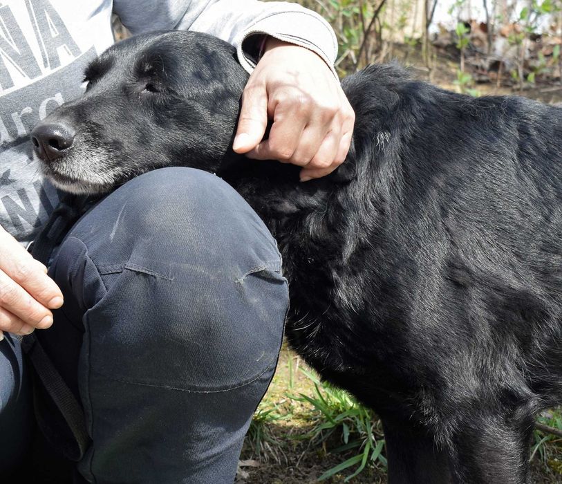 Smutny Tajfun jest pomijany niesłusznie