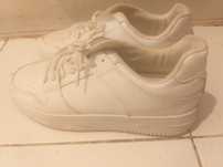 Saptilhas semi novas 39