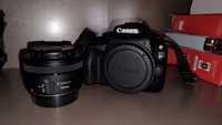Canon 100d + 50mm 1.8 STM