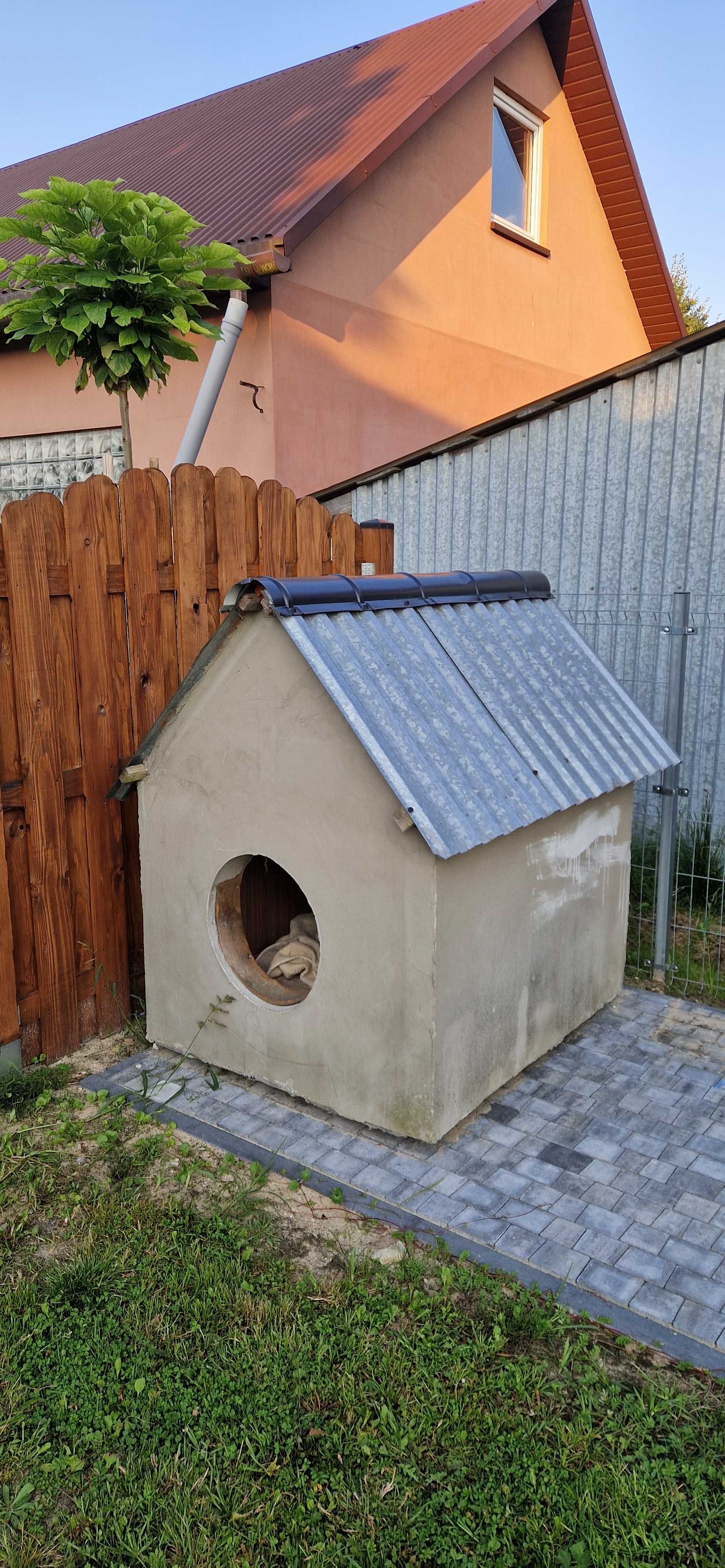 Buda dla dużego psa