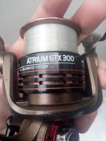 Kołowrotek Jaxon atrium GTX 300