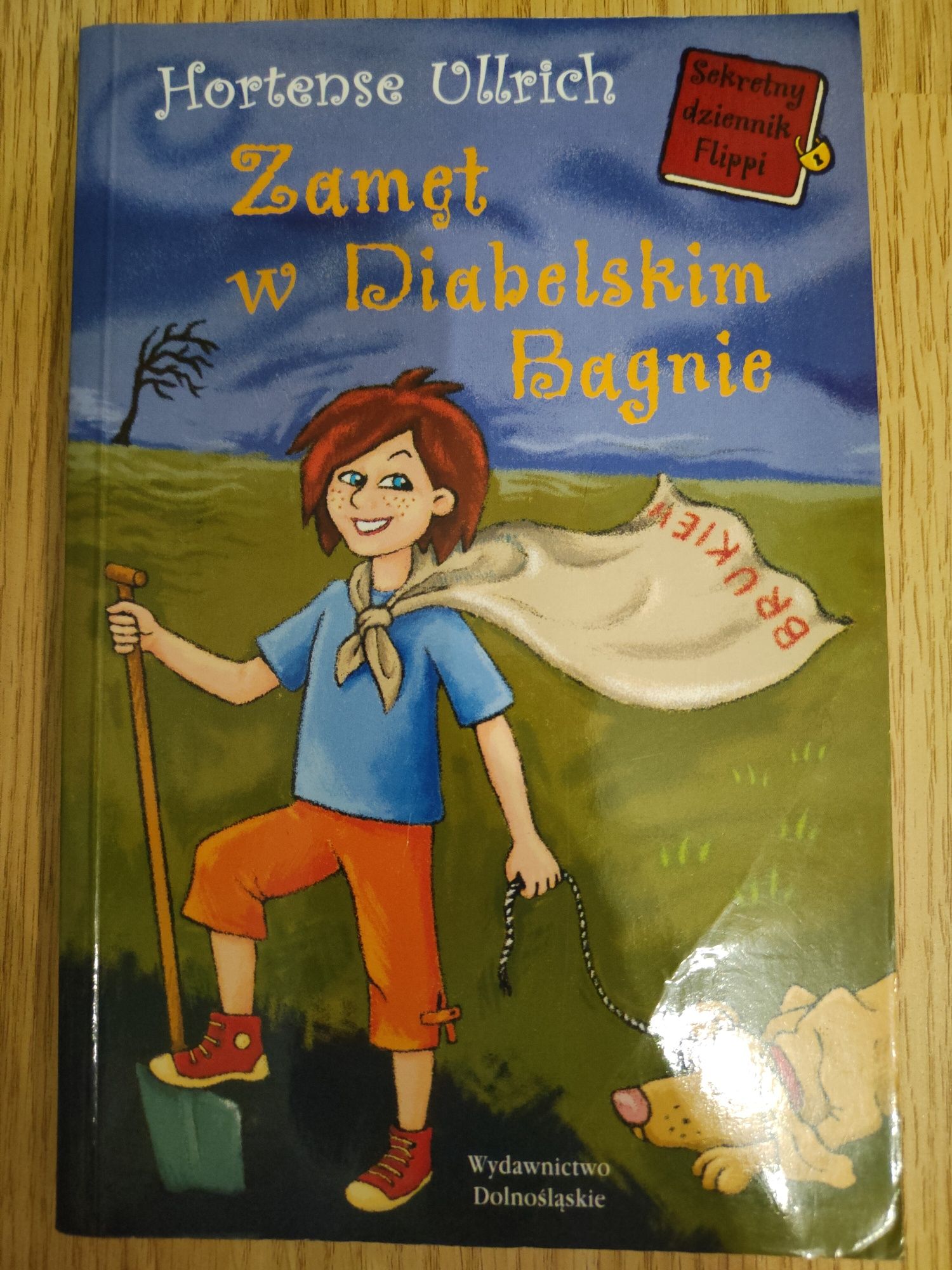 Zamęt w Diabelskim Bagnie