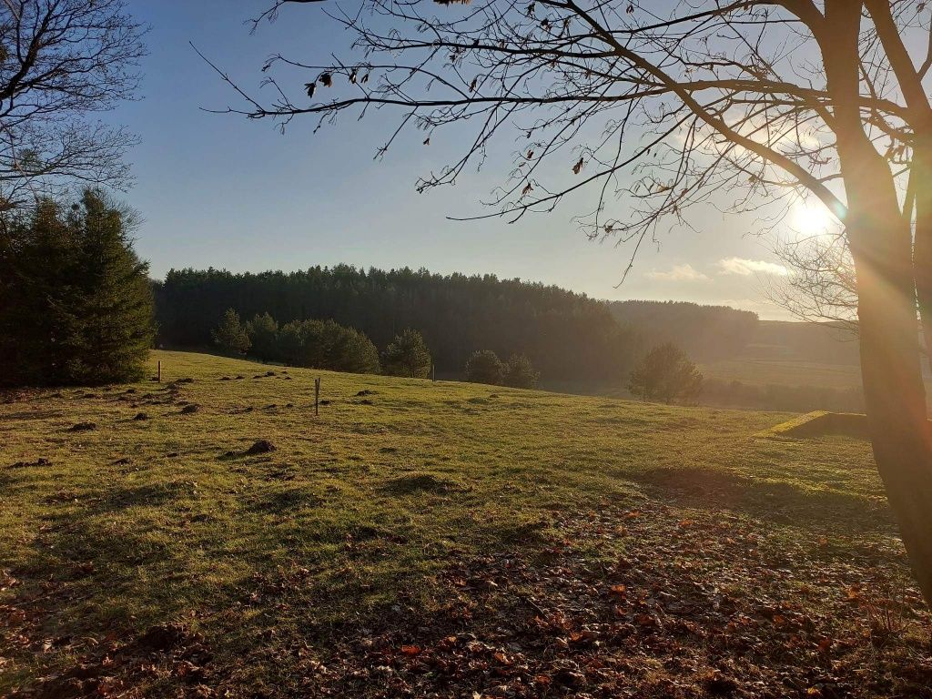 Sprzedam działkę budowlaną Rychnowska Wola, Grunwald, Mazury