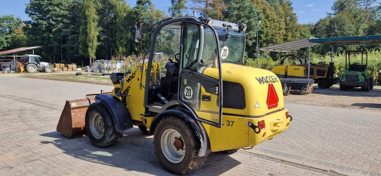 Wacker Neuson WL 37 widły + łyżka joystick klima ładowarka kołowa