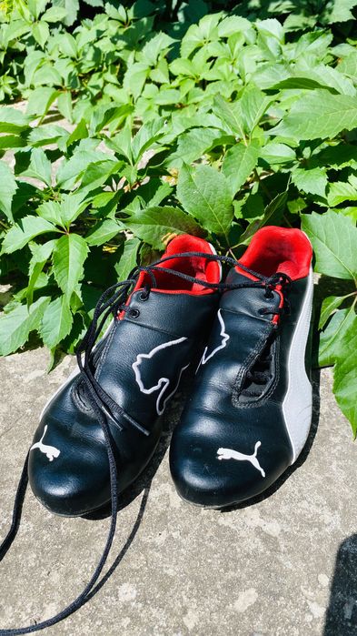 Жіночі кросівки, оригінальні