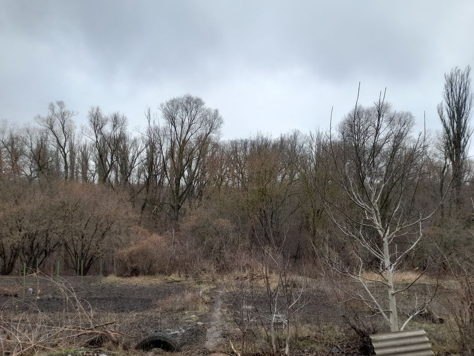 Терміново продам будинок і 2 земельні ділянки в СТ КОЛОС