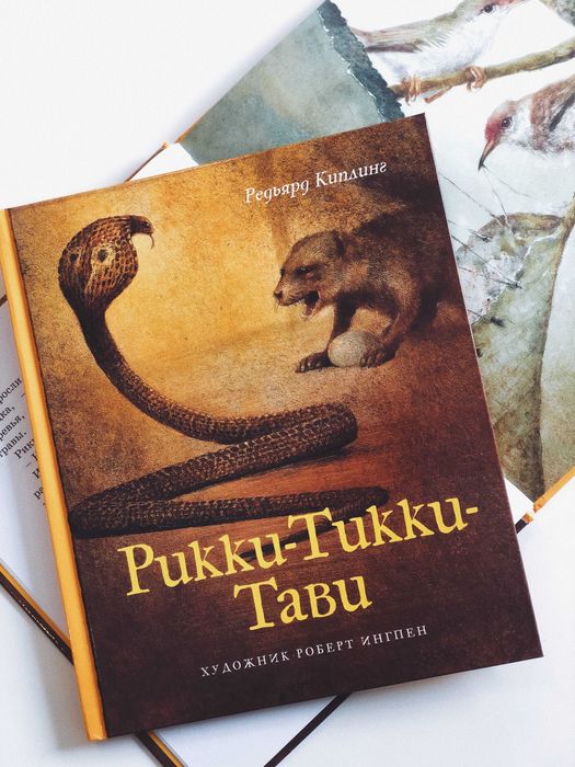 дитяча книжка рікі тікі таві (Киплинг) ілюстрації Ингпен