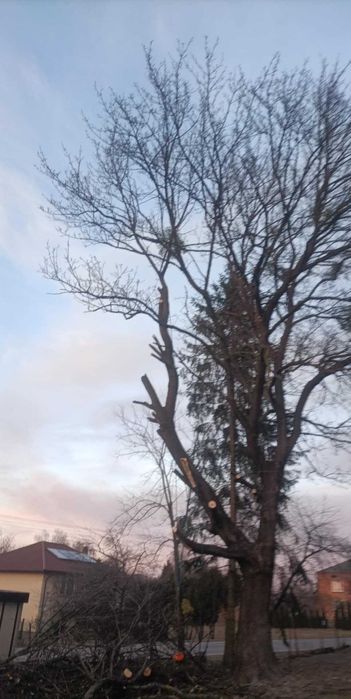 Wycinka drzew, prace alpinistyczne, zrębkowanie gałęzi