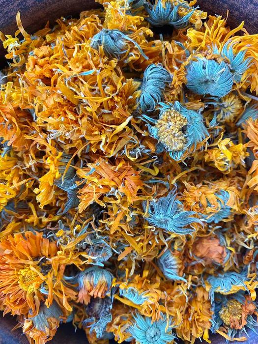 цвіт календули ,календула сушеная ,нагідки,цветки календулы