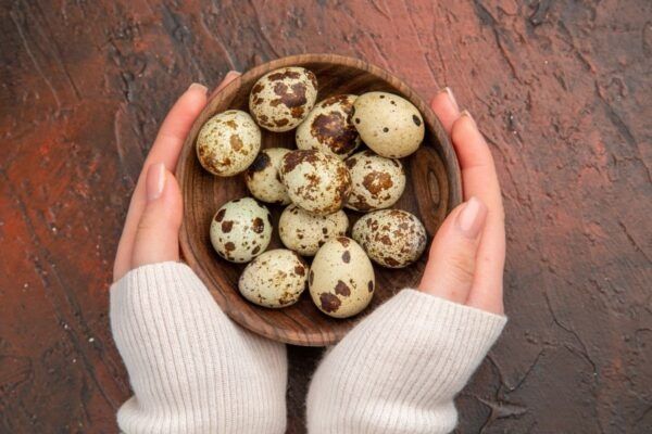 Продам Перепилині яйця доманні