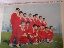 BENFICA Bi-Campeão Europeu Finalista da Taça Campeões Europeus 1962/63