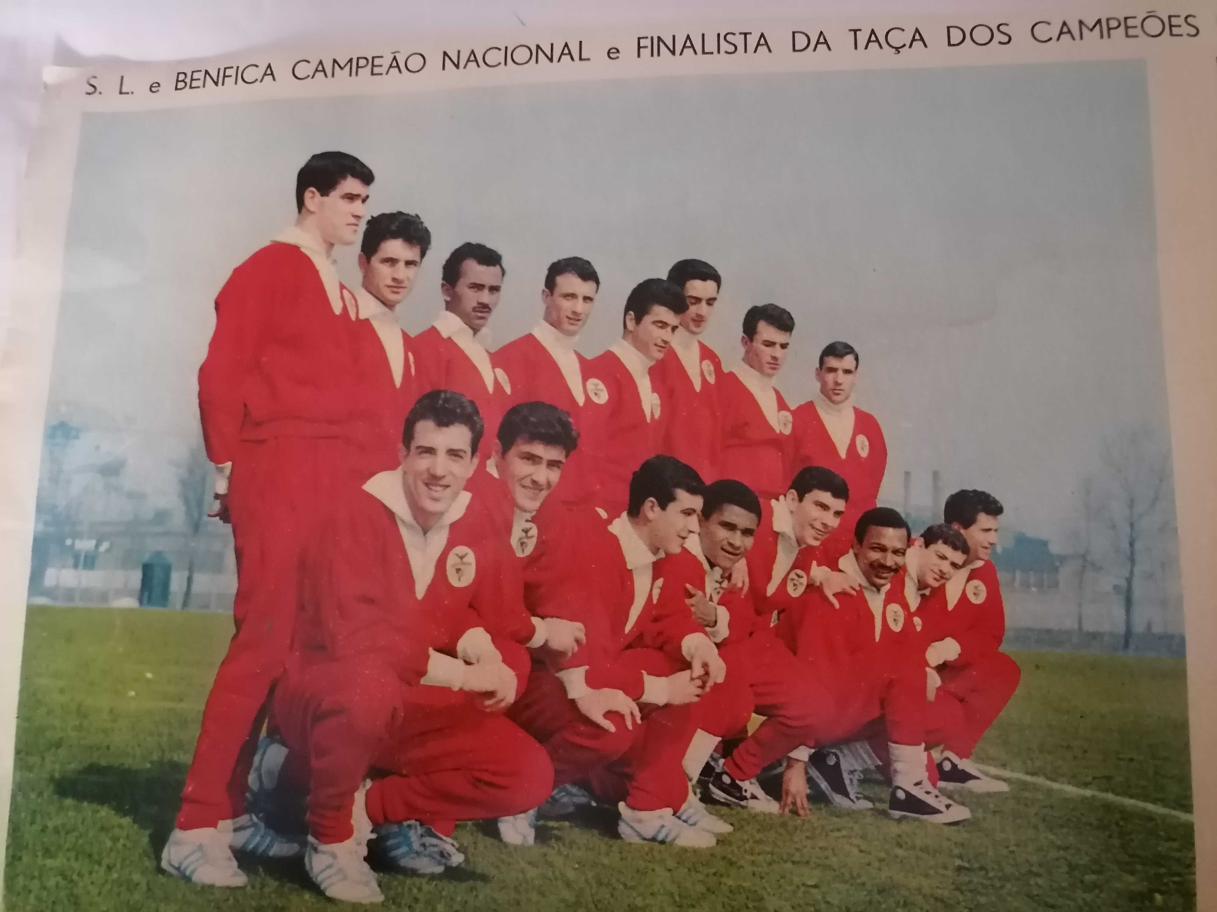 BENFICA Bi-Campeão Europeu Finalista da Taça Campeões Europeus 1962/63