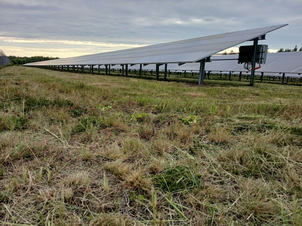 Tanie koszenie farm fotowoltaicznych - szybkie terminy