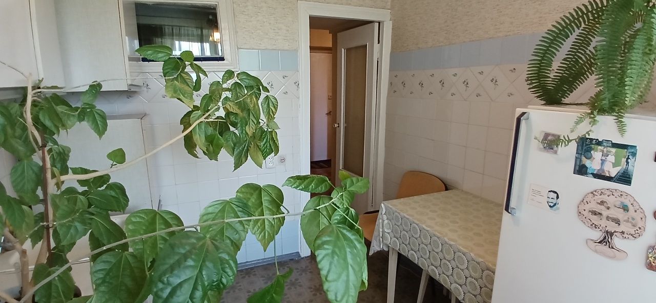 Здається 1-но.кім.кв. в тихому центрі міста, вул.Верхня Горова, 178