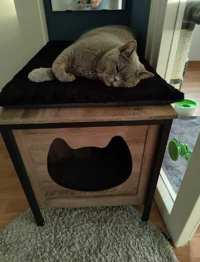 Armário para esconder caixa de areia gato / casota gato NOVOENVIOGRÁTI