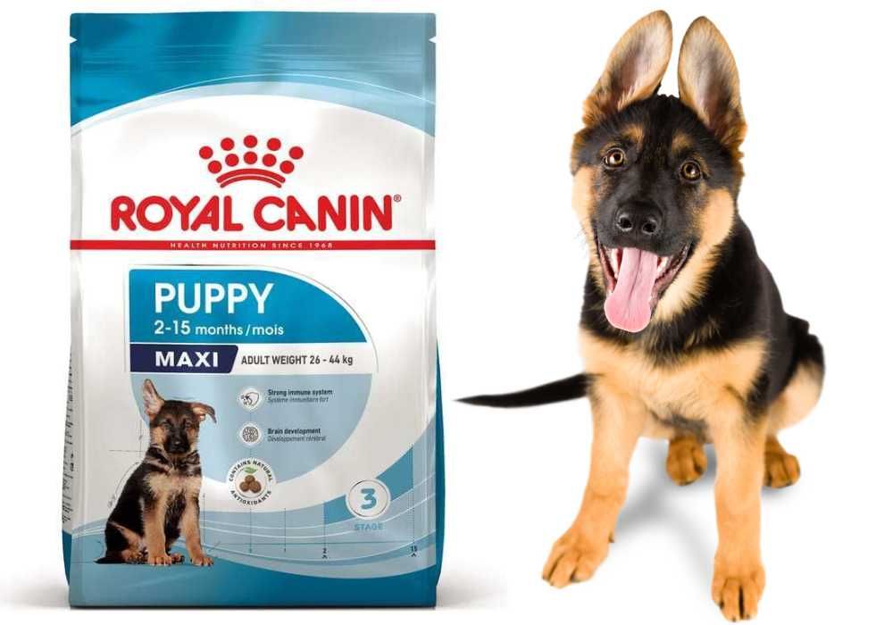 Сухой корм Royal Canin Maxi Puppy для крупных щенков 15кг!