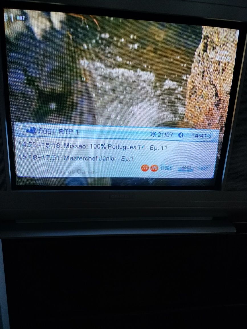 TV Grundig Xentia 21