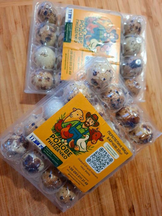 Фермерські (домашні) перепелині яйця