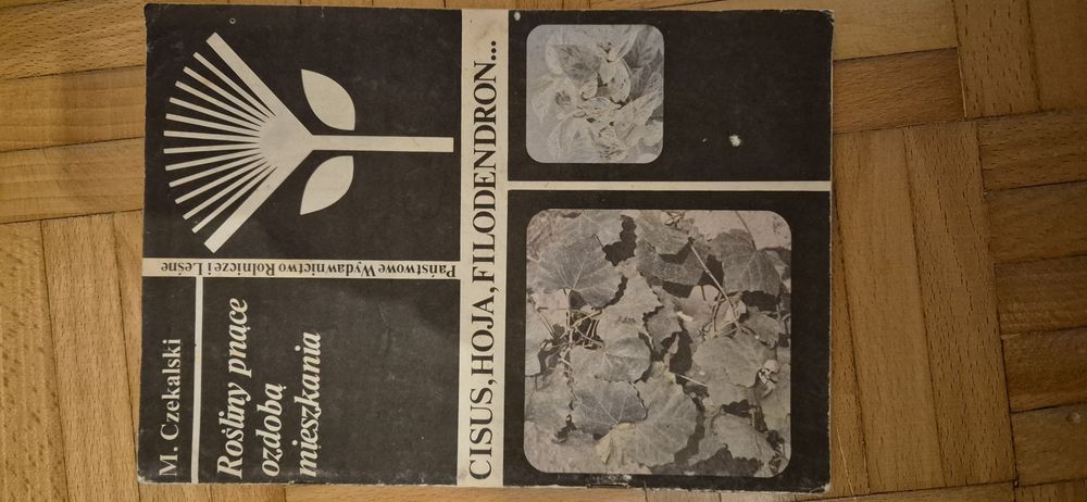 Cissus, hoja, filodendron - M. Czekalski