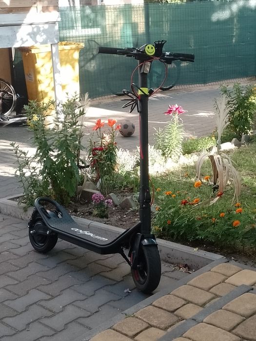 Sprzedaż hulajnoga elektryczna wingoo