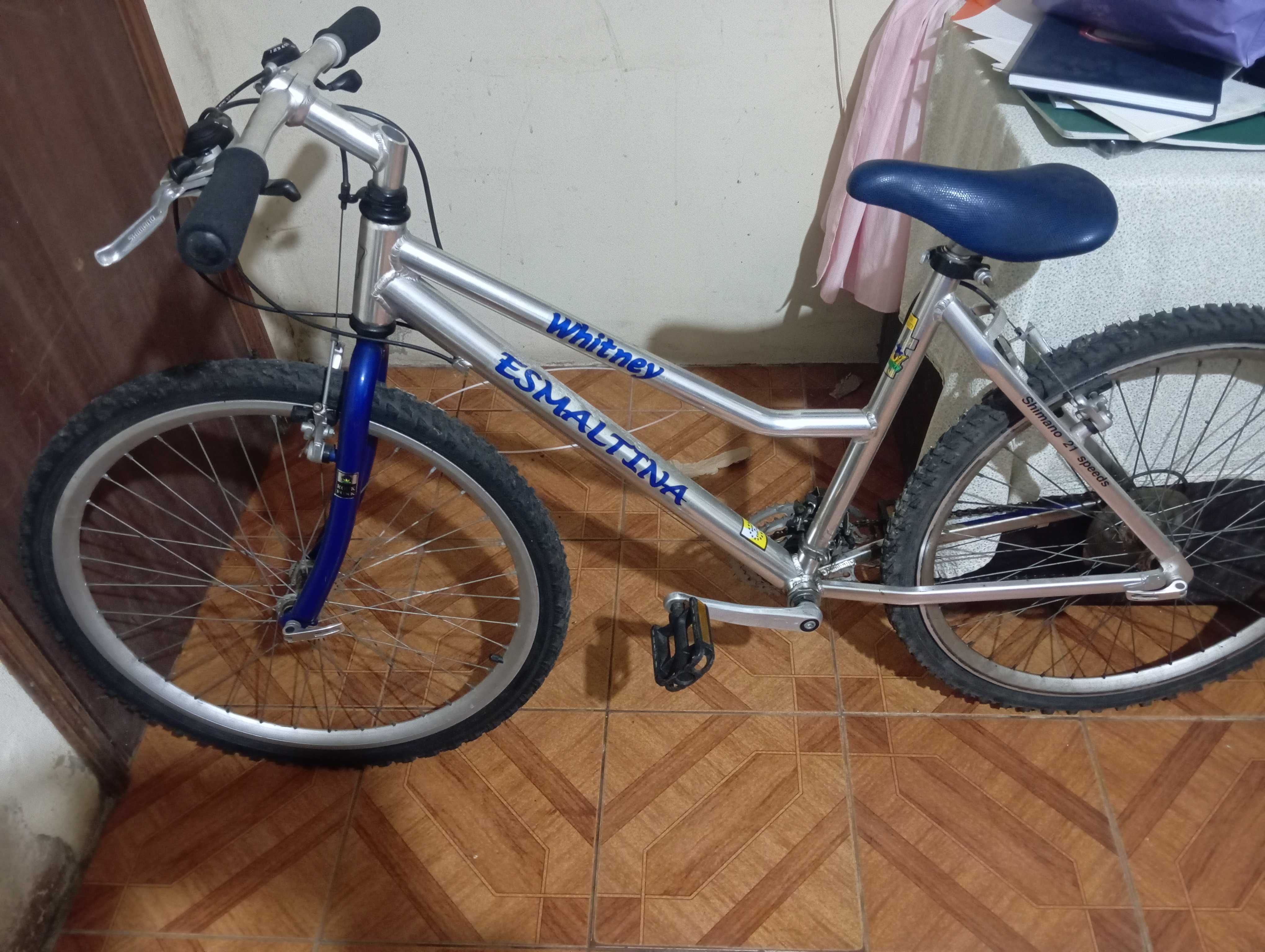 Bicicleta Whitney esmaltina