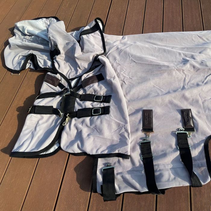 Derka siatkowa Kentucky