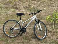 Bicicleta jovem roda 26 (quadro baixo)
