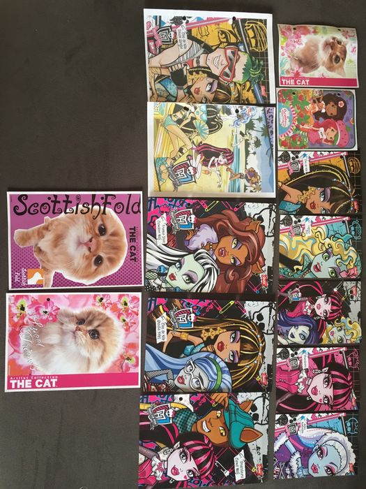 Karteczki do segregatora