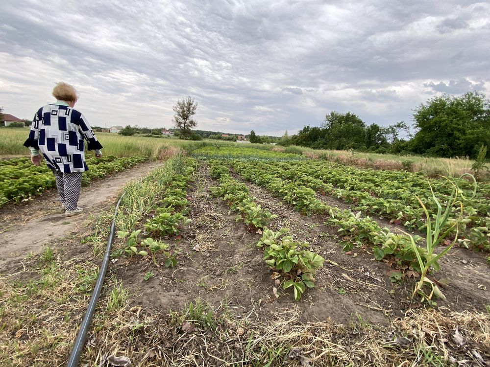 Продам дом село Хащевое