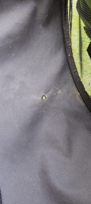 Spacerówka Baby Jagger Elite