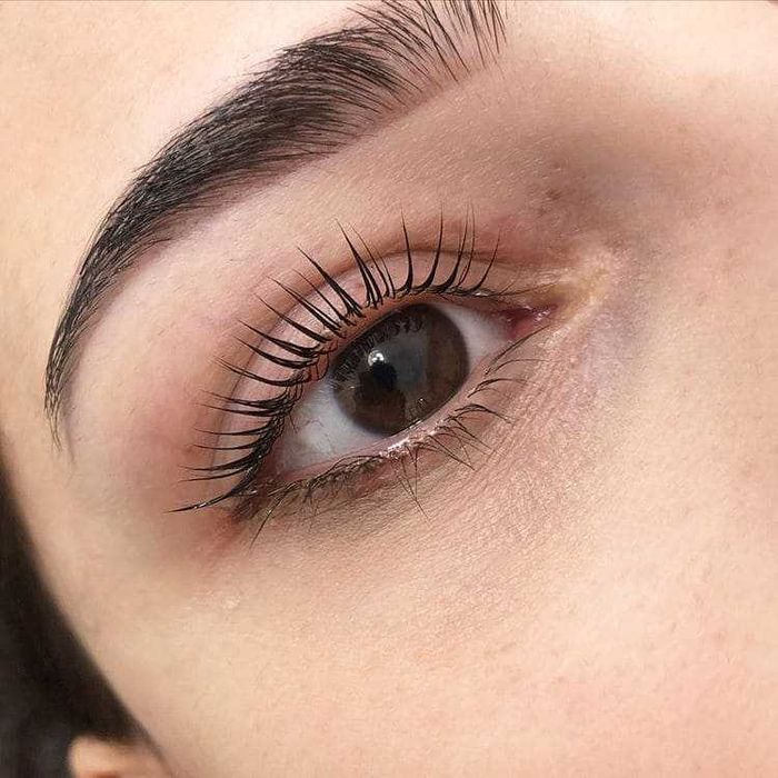 Ламінування вій і брів