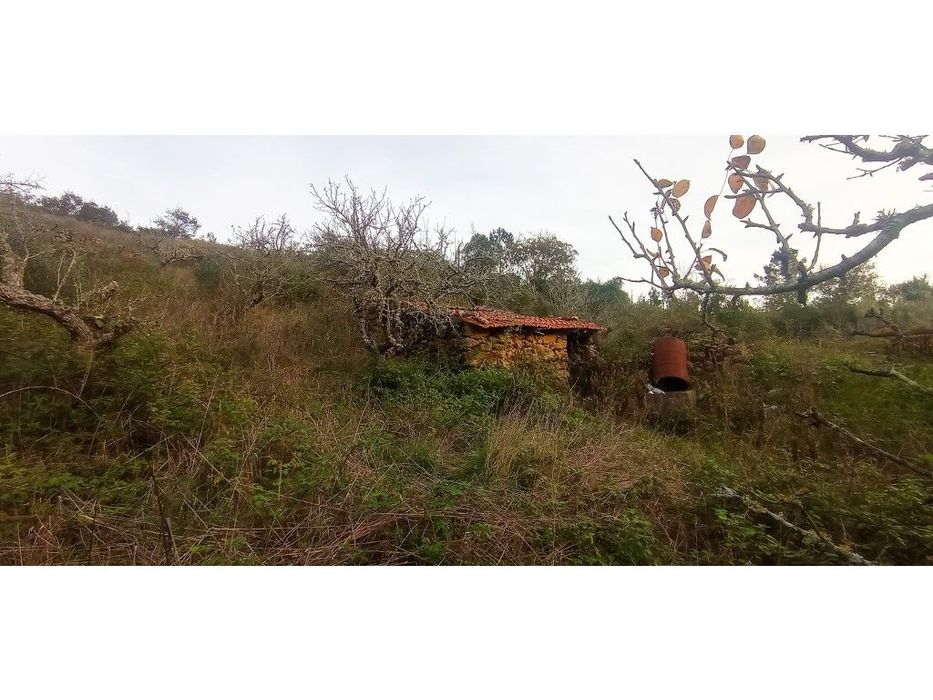 Quintinha a 10km das praias em Cheleiros