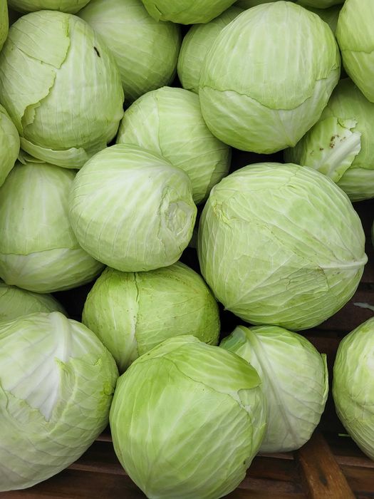 Kapusta świeża szatkowana i całe głowy
