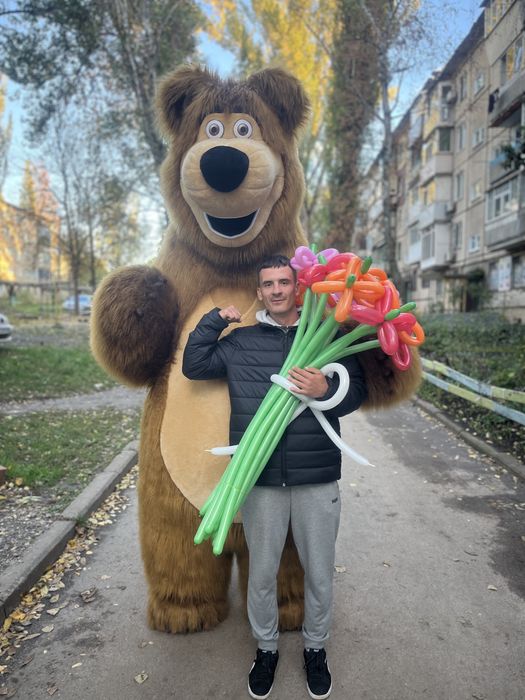 Кривий Ріг пес патрон, мішка, зайка, стіч, скай, гонщік