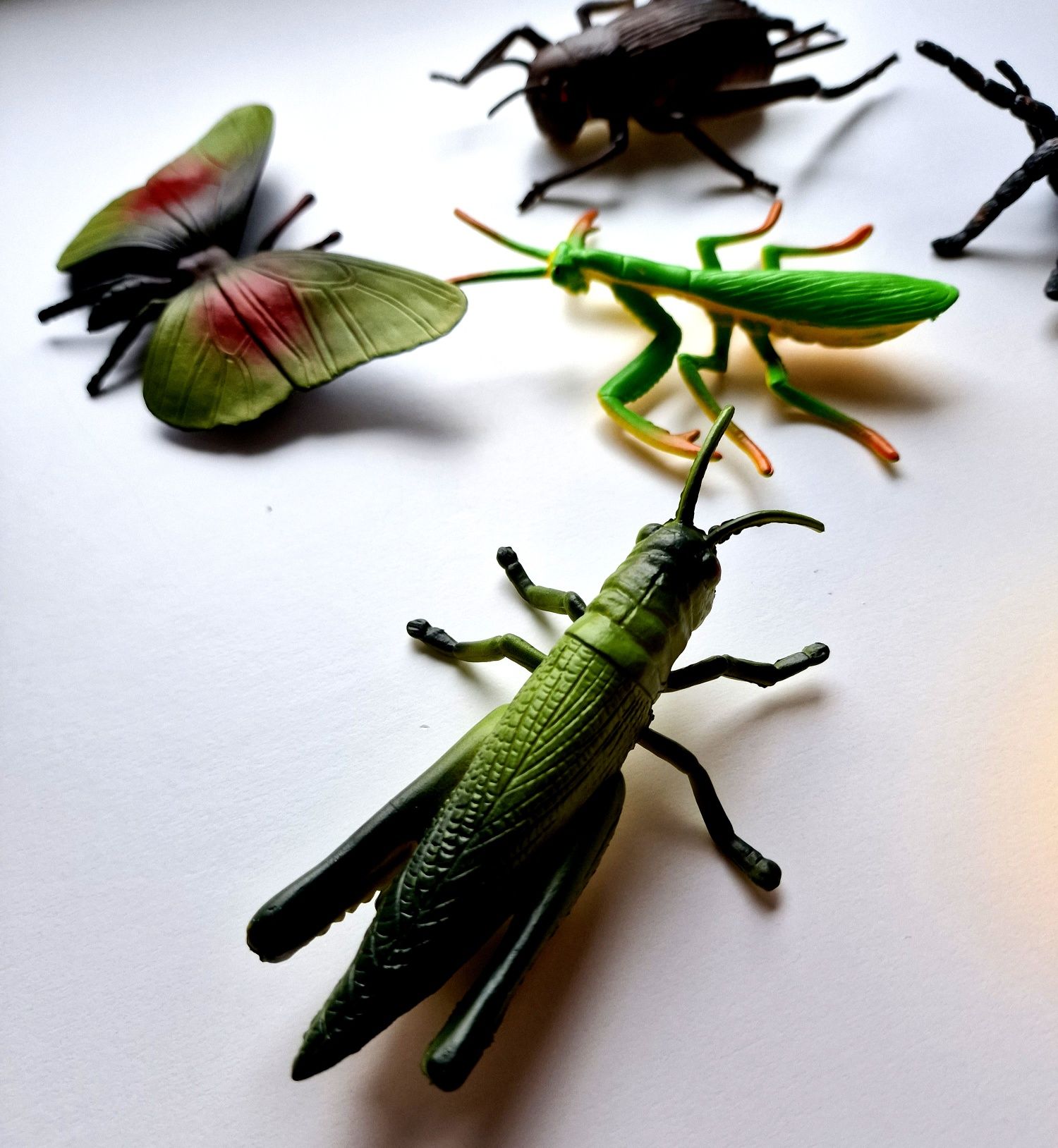 Zwierzęta owady insekty zestaw 6 figurek