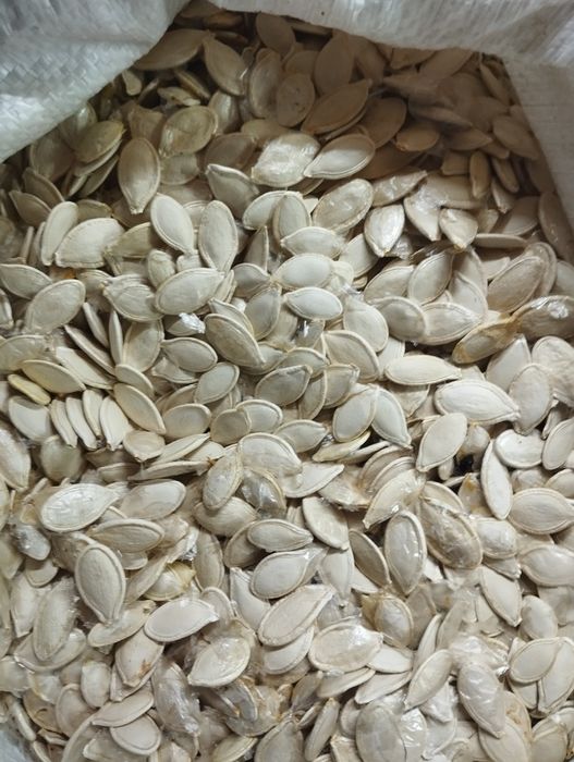 Гарбузова олія насіння гарбуза