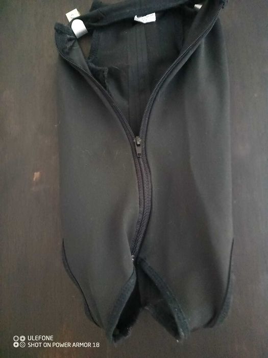Roupas para  seu pet  Gatos