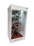 Terrarium nr747 tropikalne dla kameleona 50/50/100 DOSTĘPNE