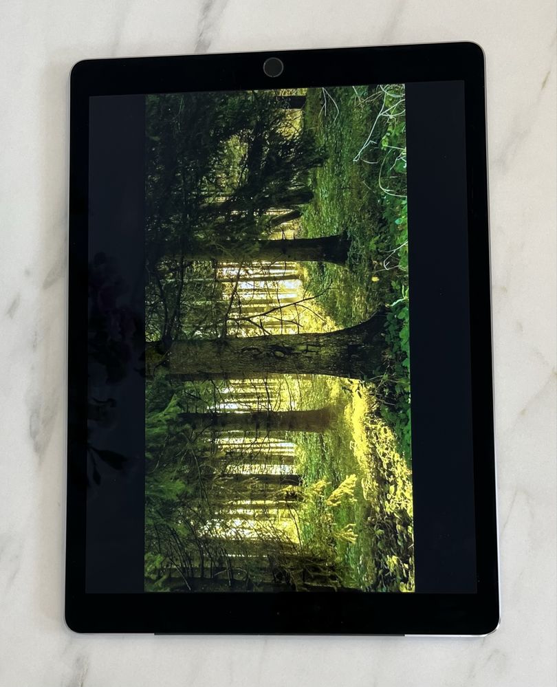 IPad Pro (12.9 inch) A1652 w dobrym stanie, wszystko działa