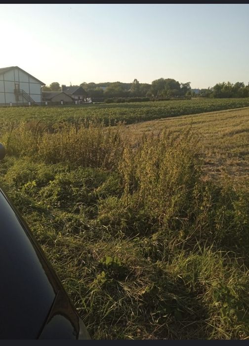 Продаються дві земельні ділянки.