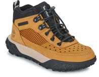 Timberland greenstride 
GREENSTRIDE MOTION 6 LOW LACE UP - Castanho