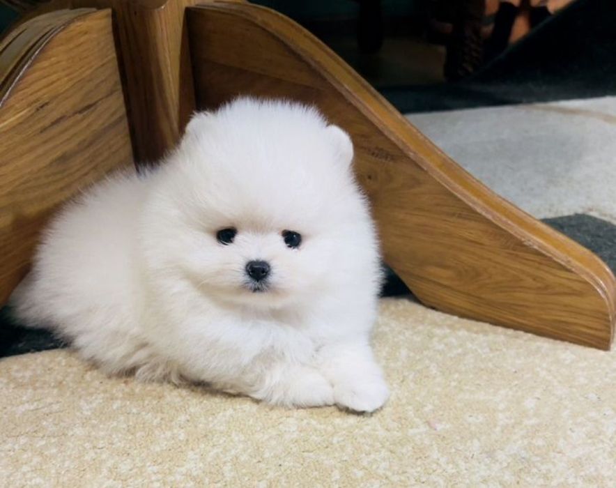 Девочки и Мальчики супер крохи