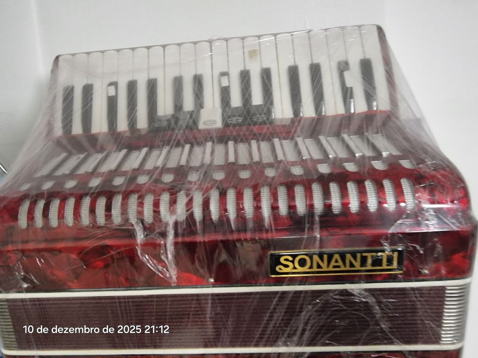 Acordeon instrumento musical