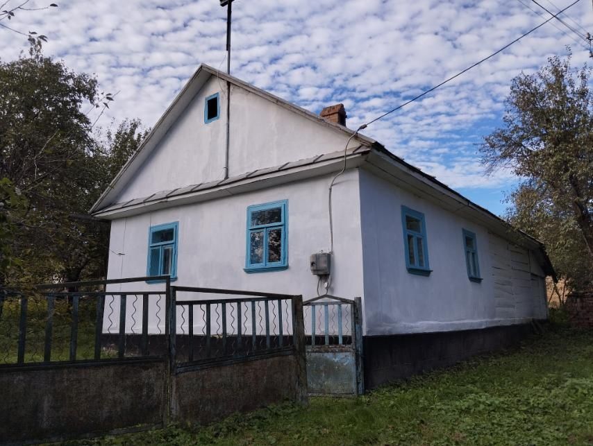 Продаж будинку з  великою ділянкою в с.Стеблівка
