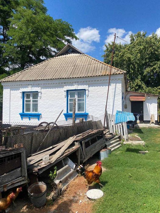 Продаж будинку в селі Трушки