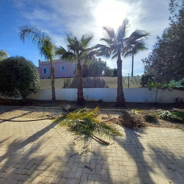 Manutenção de jardins e limpezas de terrenos