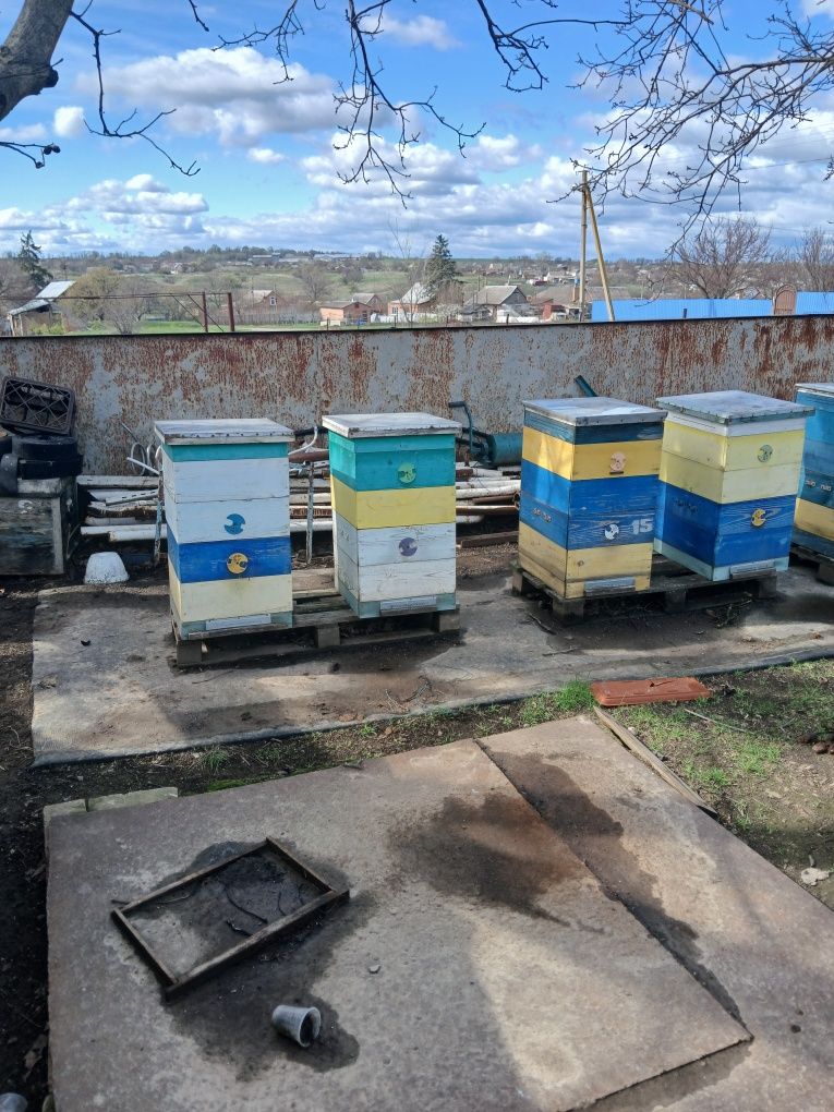 Продам вулики та рамки